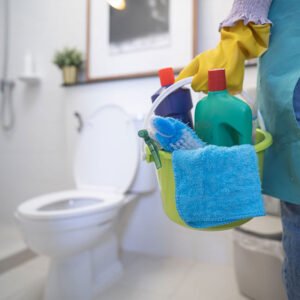 Small-toilet-WC-cleaning