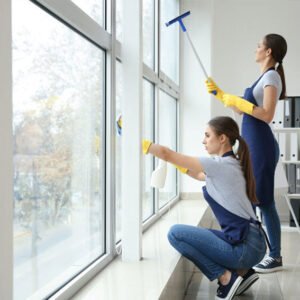 Window-Interior-+-Exterior-Cleaning-Bundle
